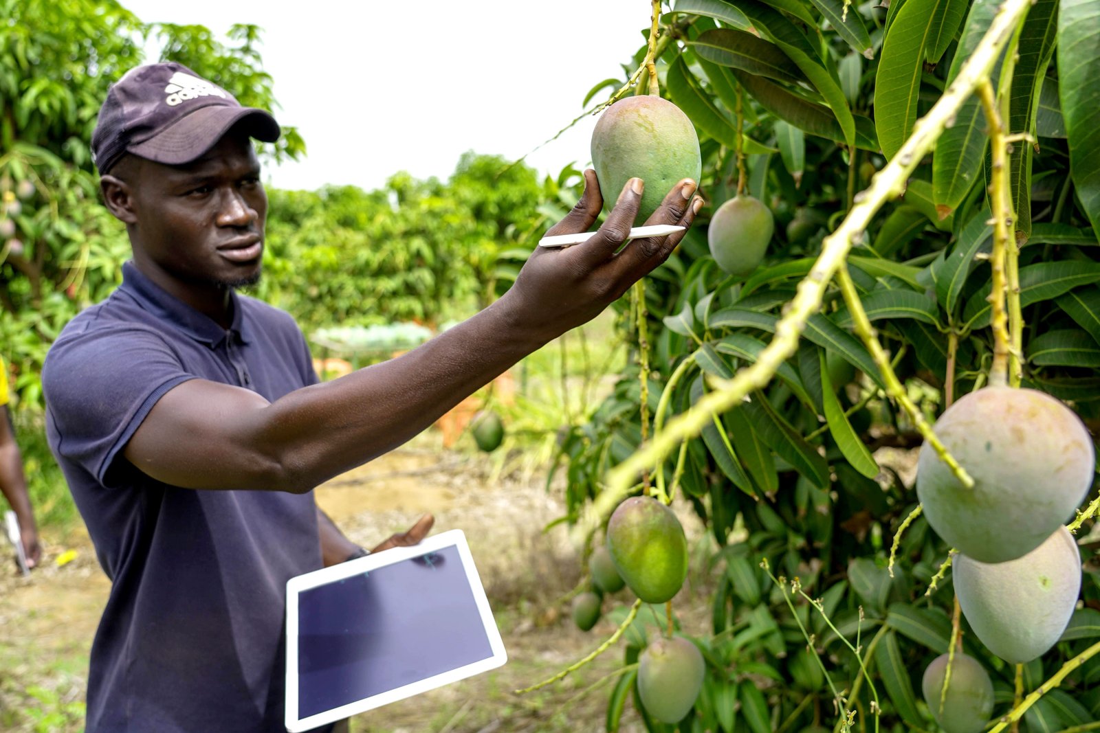 Agriculture